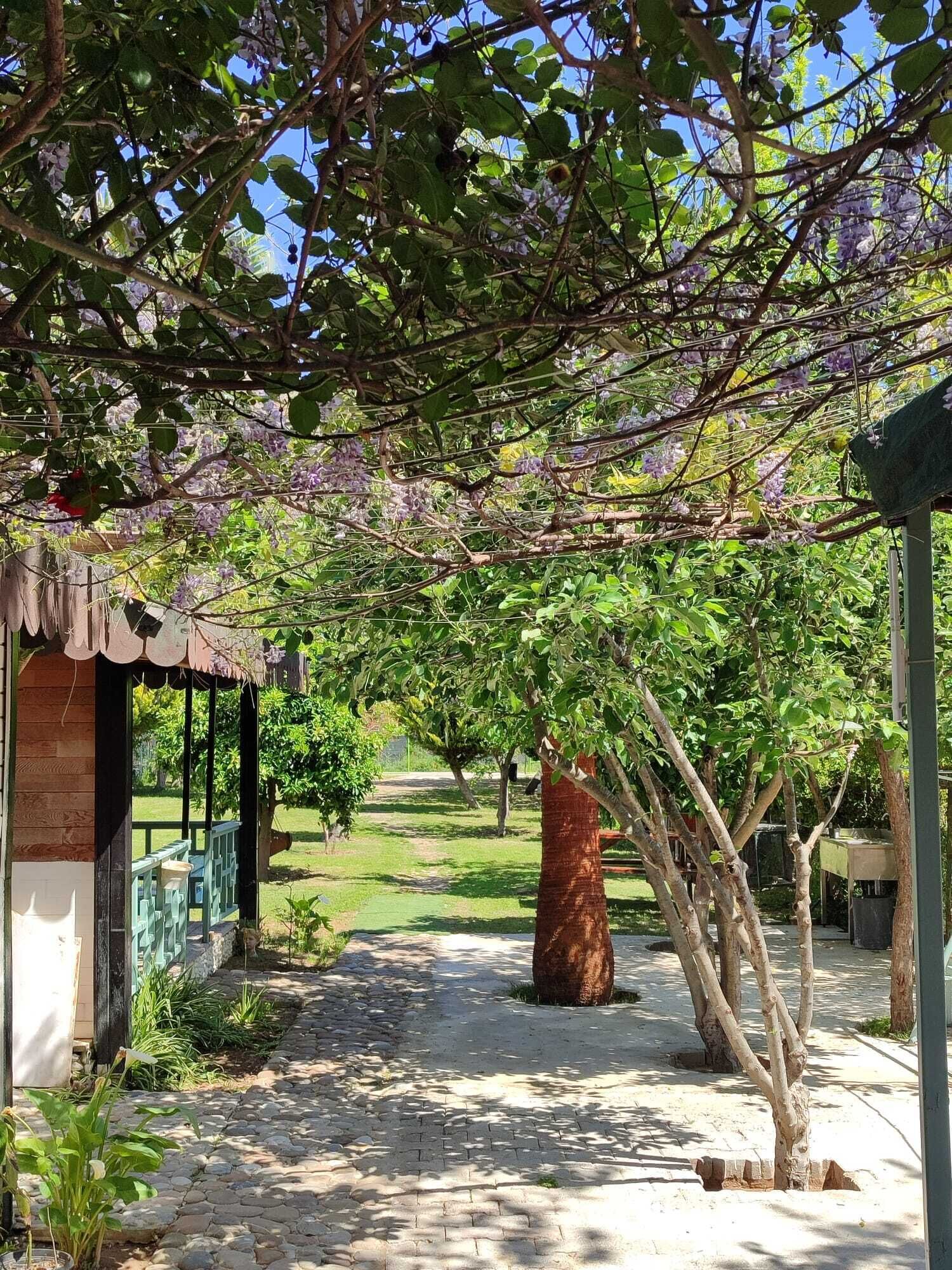 Luxe beddengoed, een strijkplank/strijkijzer, gratis wifi