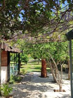 Un espacio exterior cubierto con un sendero de piedra, una pérgola adornada con flores moradas y un edificio de ladrillo con tejado verde.