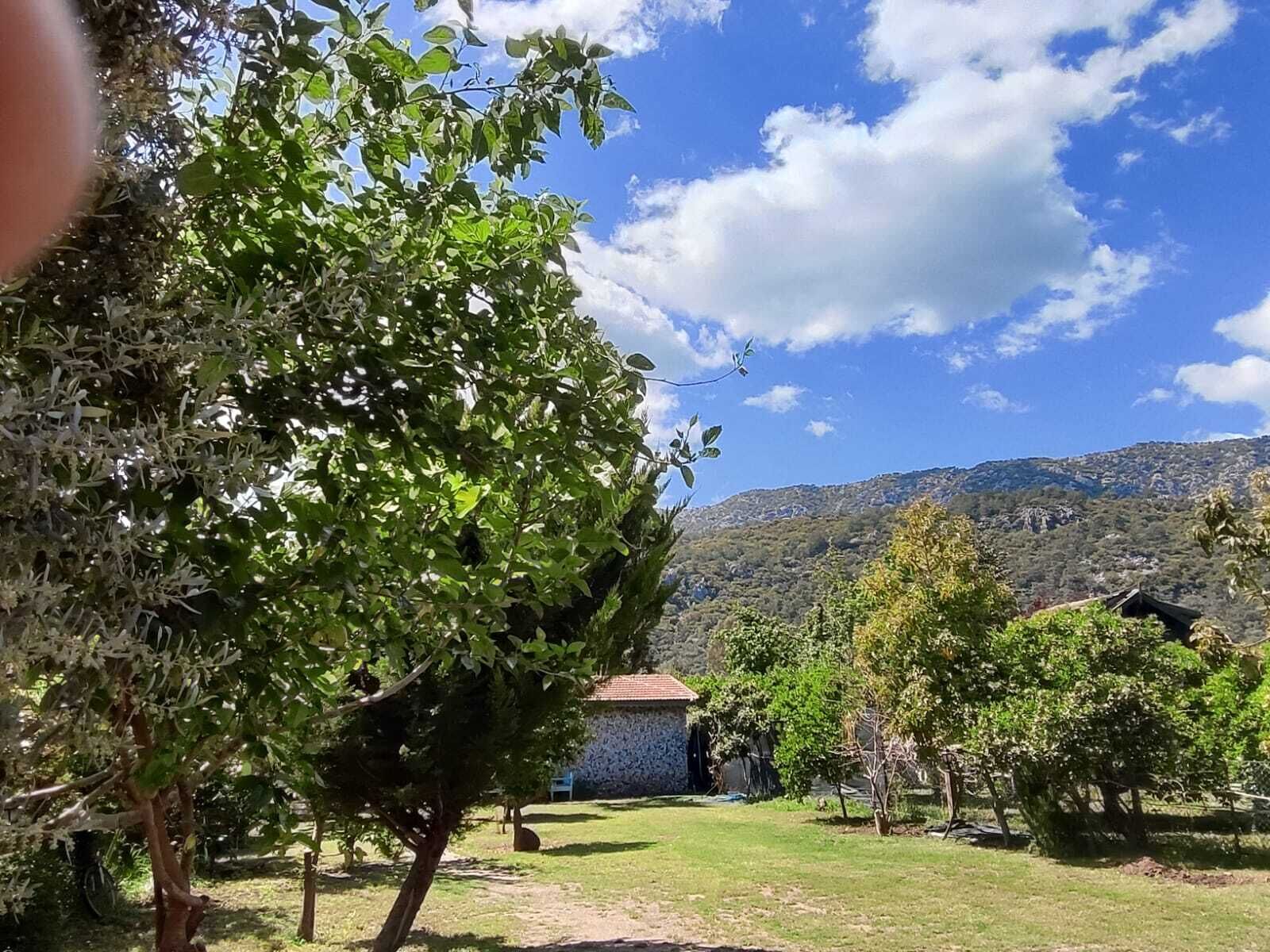 Ein Garten mit einem Gebäude im Hintergrund, umgeben von Bäumen und blauem Himmel.