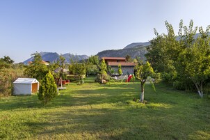 Un espacio al aire libre con césped, una caseta pequeña, una hamaca y un árbol.