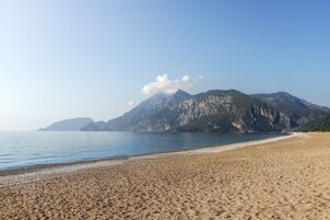 Una playa con una montaña al fondo.