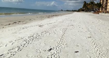 Coconut Cottage Wkly