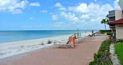Dolphin Way B 204 MO