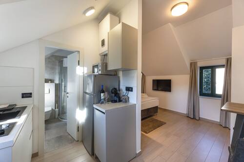 Studio, Courtyard View | Private kitchen