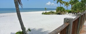 On the beach - The Original Beachcomber Daily (Fort Myers Beach)