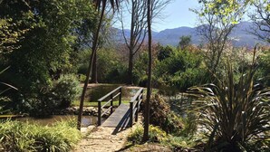 A wooden bridge over a pond surrounded by lush greenery and trees. - Clairewood (Wilderness)