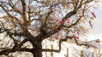 Luxury Apartment, Multiple Beds | Street view