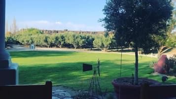 A view from a room with a wooden floor and a table with a cup, overlooking a green lawn with a flag, trees, and a distant hill.