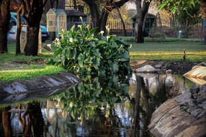 Jardines del alojamiento