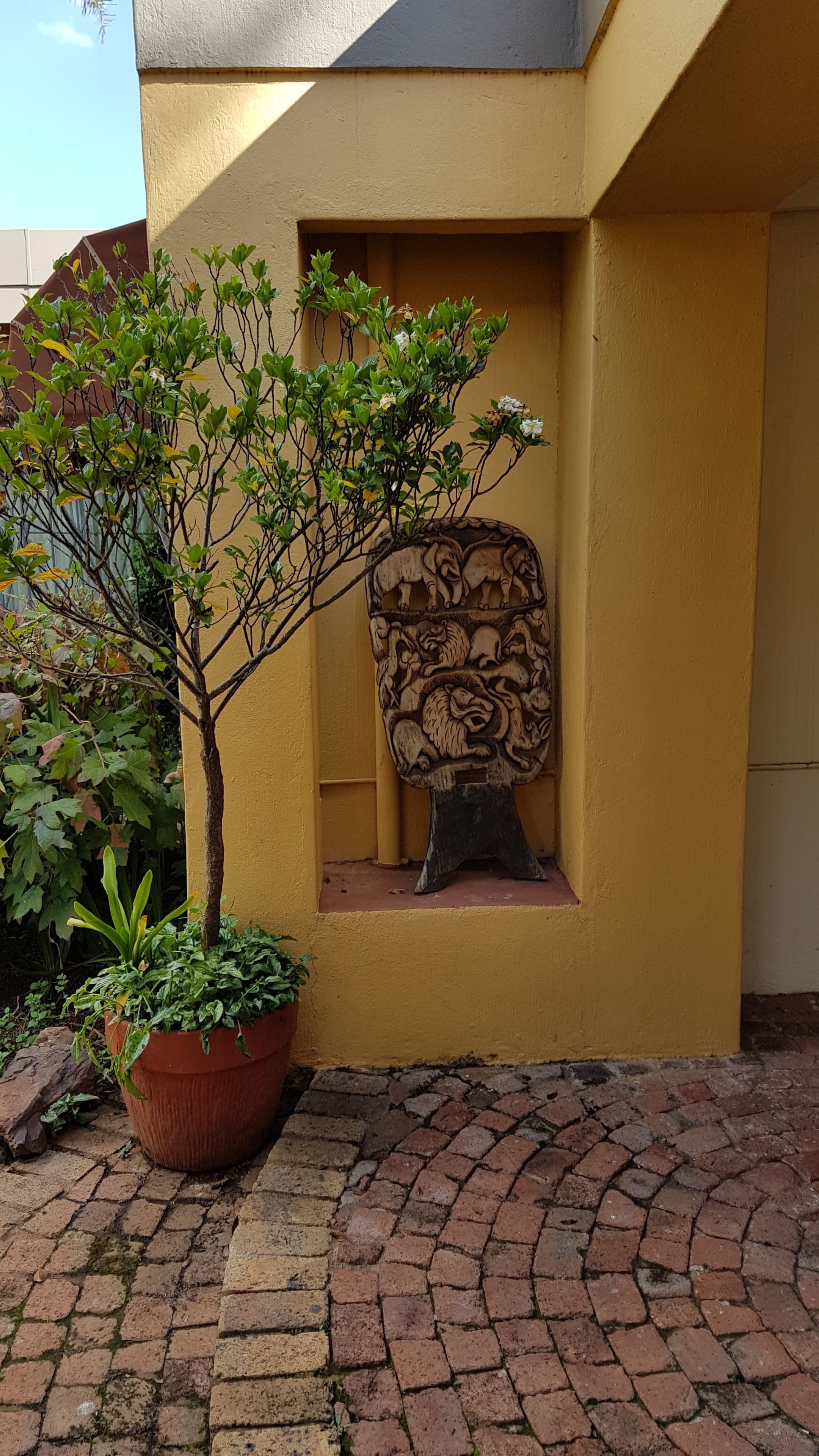 Foto - Jubilee Lodge Guest House