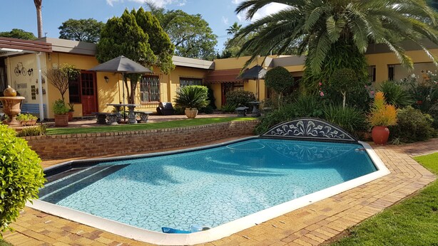 A swimming pool with a tiled edge, surrounded by a brick patio and lush greenery.