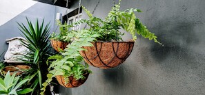 Family House, 2 Bedrooms (The Seagull Hemanus House) | Garden view - The Seagull Hermanus (Hermanus)