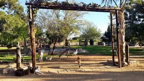 A rustic wooden pergola structure in a park setting with trees and a clear sky. - Oasis Country Lodge (Matzikama)