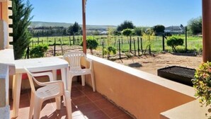 A covered patio with a table and chairs, a view of a vineyard, and a clear blue sky. - Oasis Country Lodge (Matzikama)
