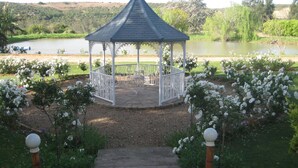 Property grounds - Happy Lands Self Catering B&B (Addo)