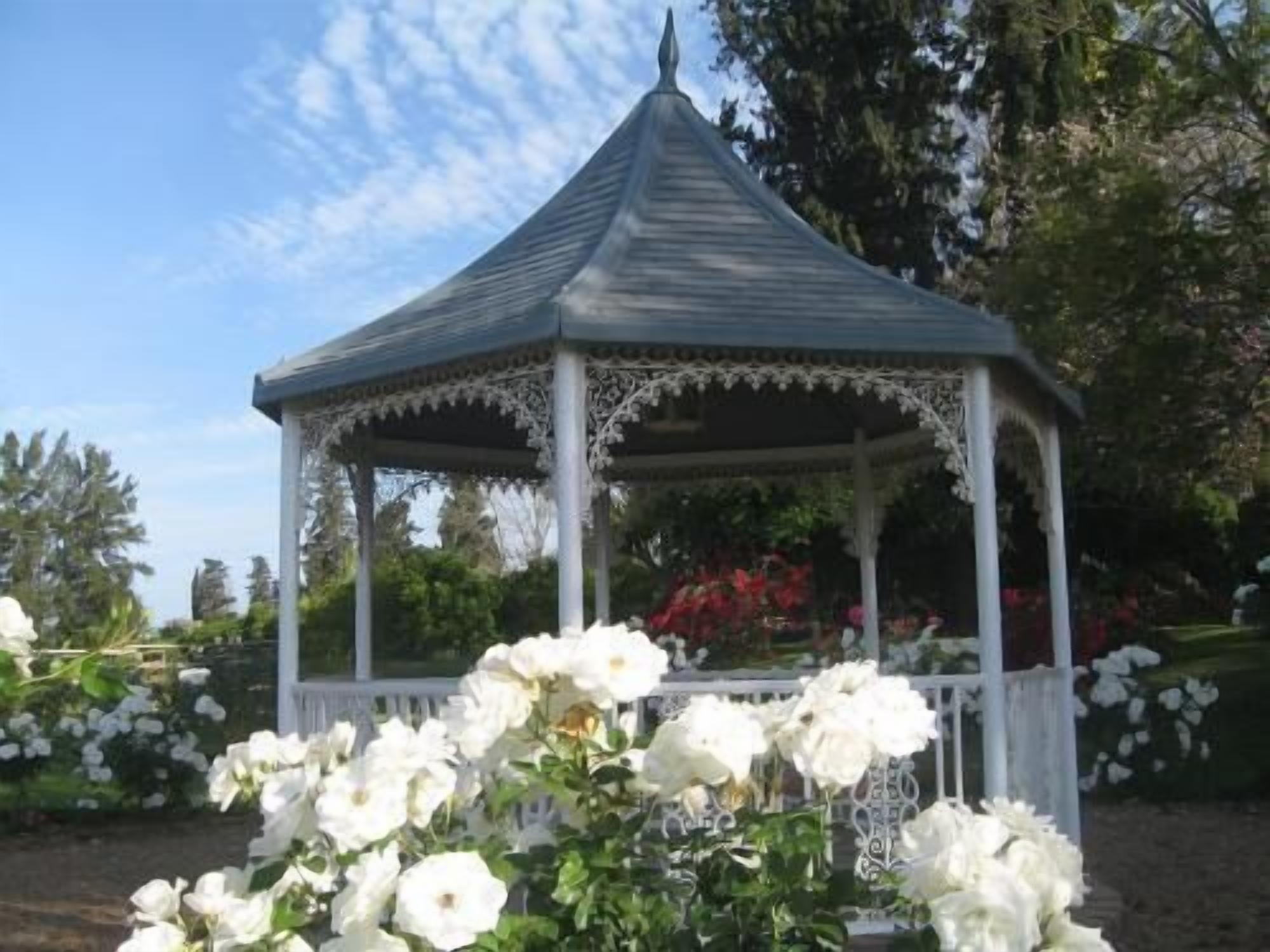 حديقة