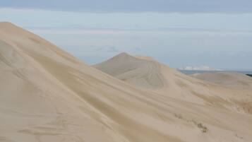 A desert landscape with sand dunes and a distant mountain range.