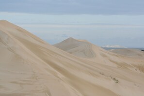 Point of interest - Dungbeetle River Lodge (Colchester)
