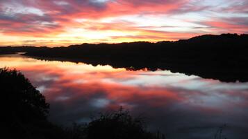 Studio Suite Superior, 1 kamar tidur (Fish Eagle Suite ) | Minibar, brankas, dan didekorasi berbeda-beda