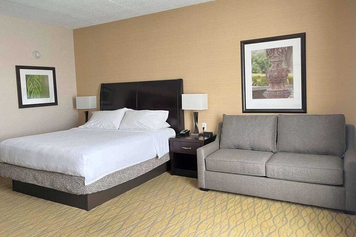 A hotel room with a bed, a gray sofa, two bedside lamps, a nightstand, and framed pictures on the walls.