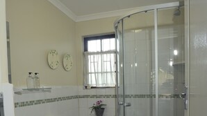 Een badkamer met een douchecabine van glas, een toilet en een wastafel.