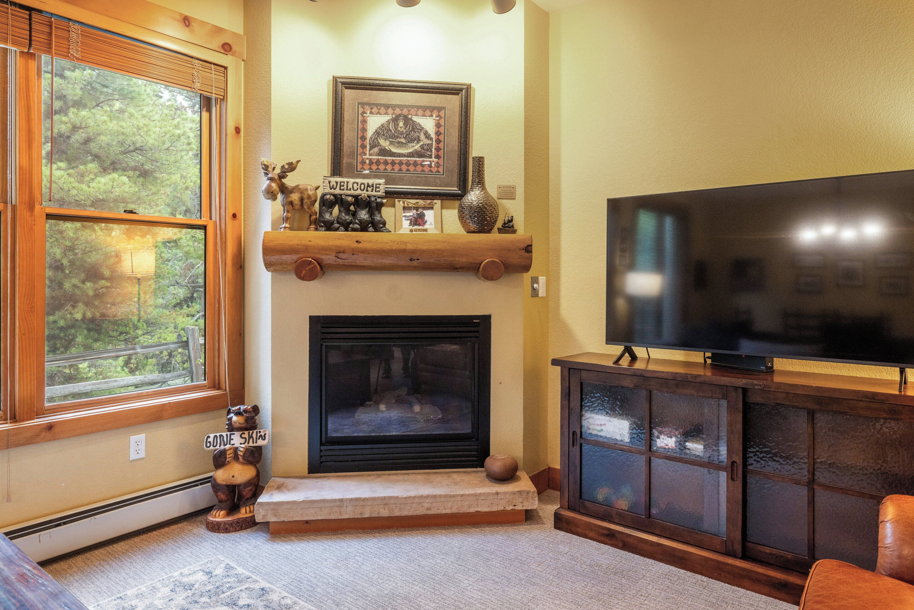 コンドミニアム 1 ベッドルーム (Trappers Crossing, 1 Bath) | リビング エリア | 薄型テレビ