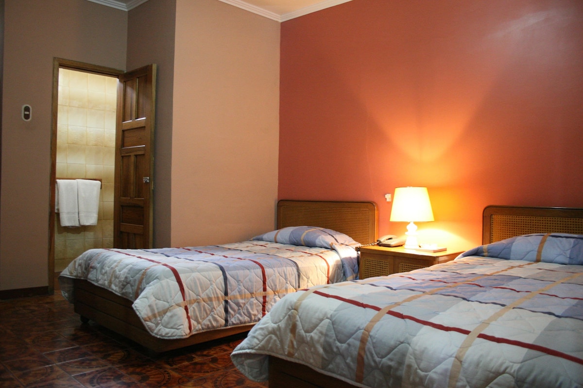 Iron/ironing board (on request), WiFi (free), bed sheets
