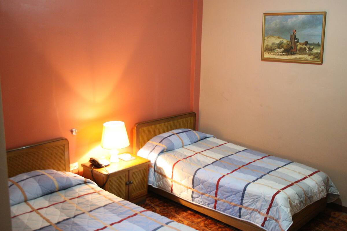 A room with two single beds, a nightstand with a lamp, and a painting on the wall.