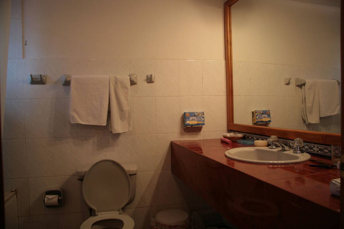 A bathroom with a toilet, sink, and mirror. There are towels hanging on the wall and a box of tissues on the counter.