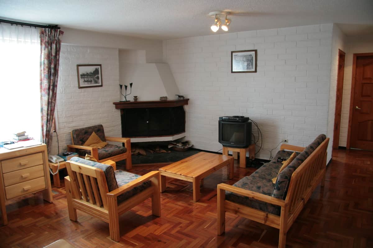 A living room with a fireplace, wooden furniture, and a television.