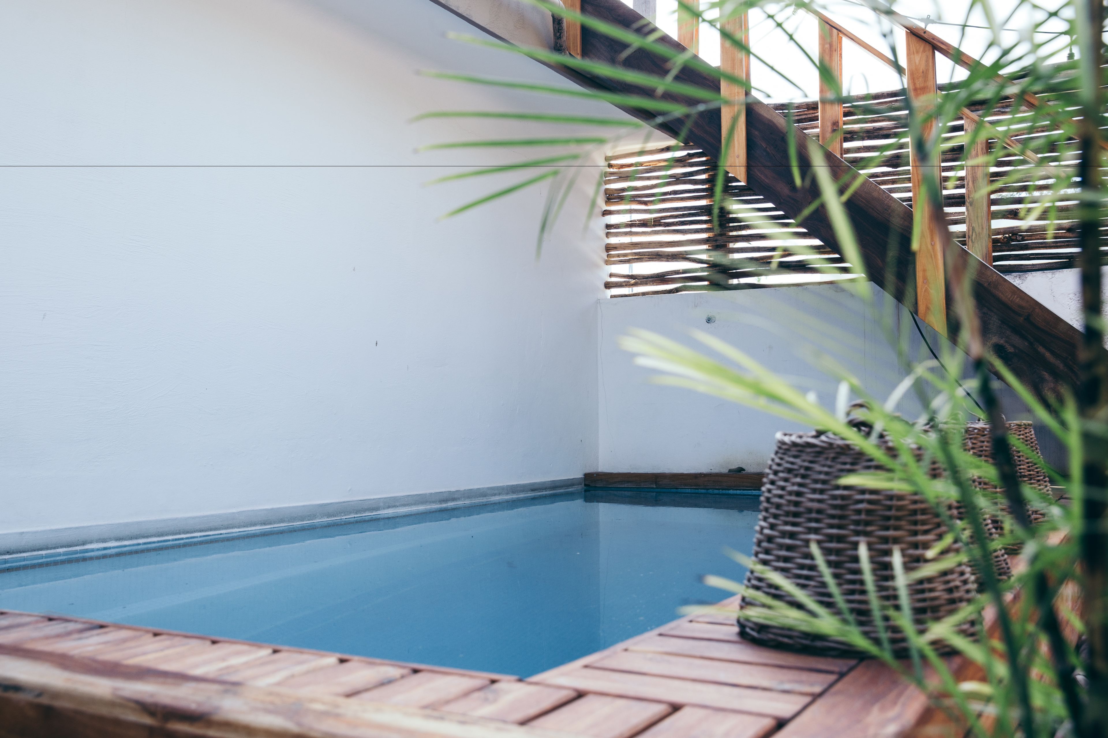 outdoor pool, pool loungers