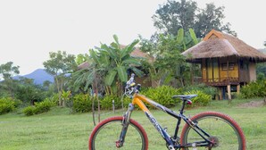 A mountain bike parked on grass with a thatched-roof house in the background.