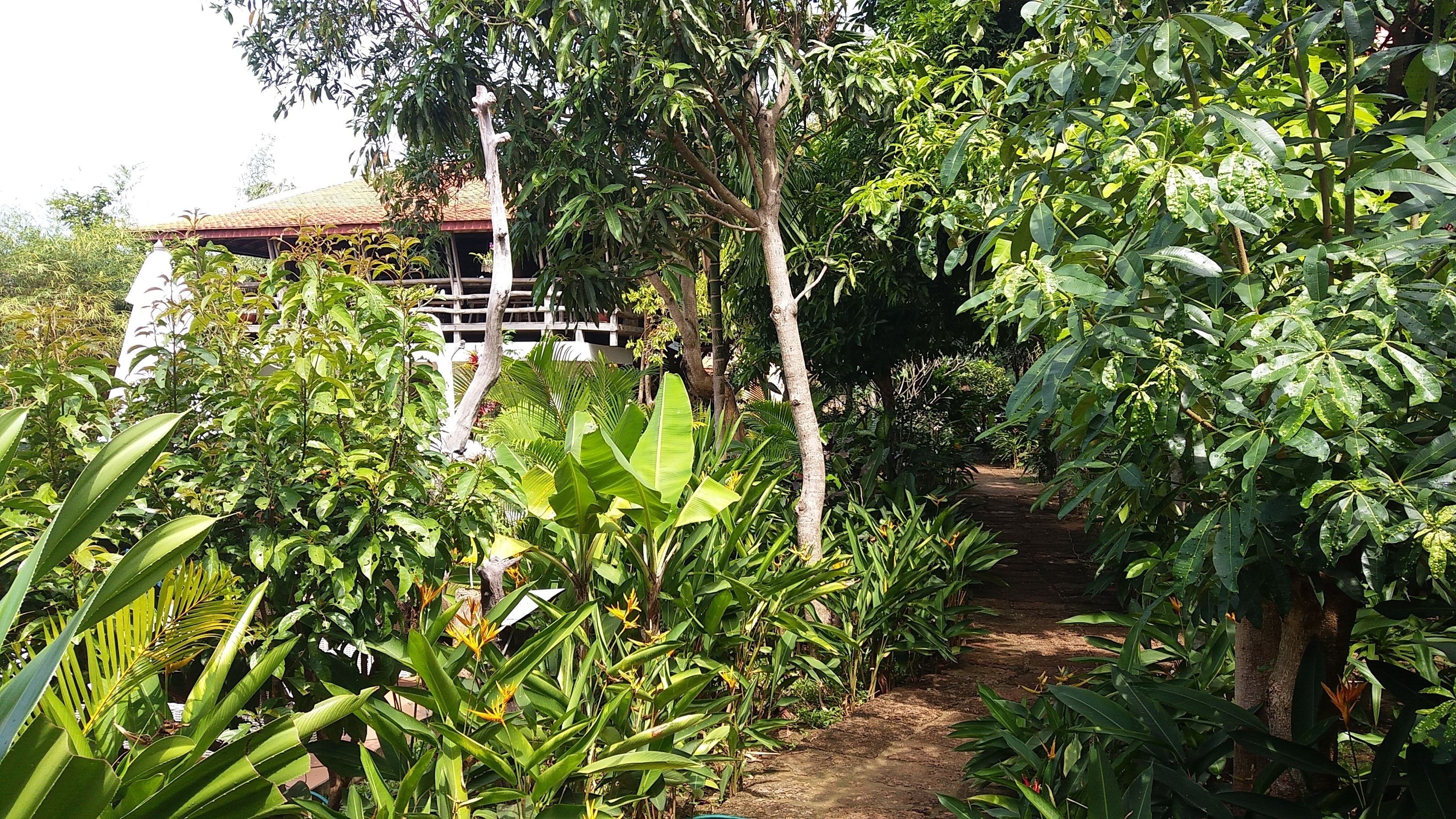 A garden pathway surrounded by lush greenery and a traditional building with a tiled roof.