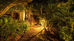 Un camí de pedra que serpenteja per un jardí exuberant, ple de vegetació i amb una font de llum càlida al final.