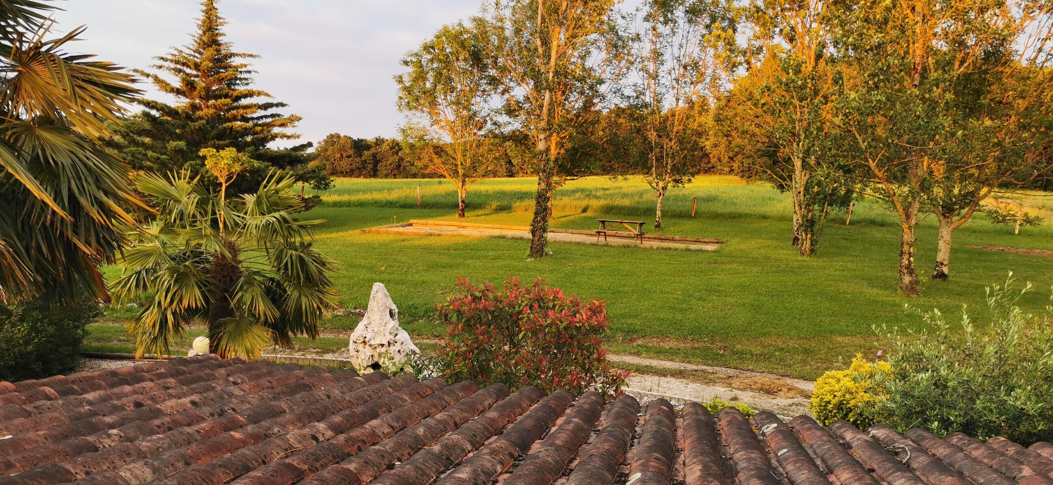 On peut admirer, depuis une terrasse couverte, un jardin bien entretenu avec une table de pique-nique, des arbres et une pelouse.
