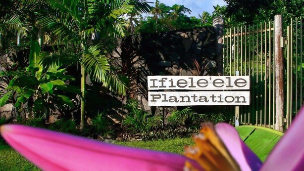 A sign reading "Ifiele'ele Plantation" with a stone wall and lush greenery in the background. - Ifiele'ele Plantation (Fasito'o Uta)