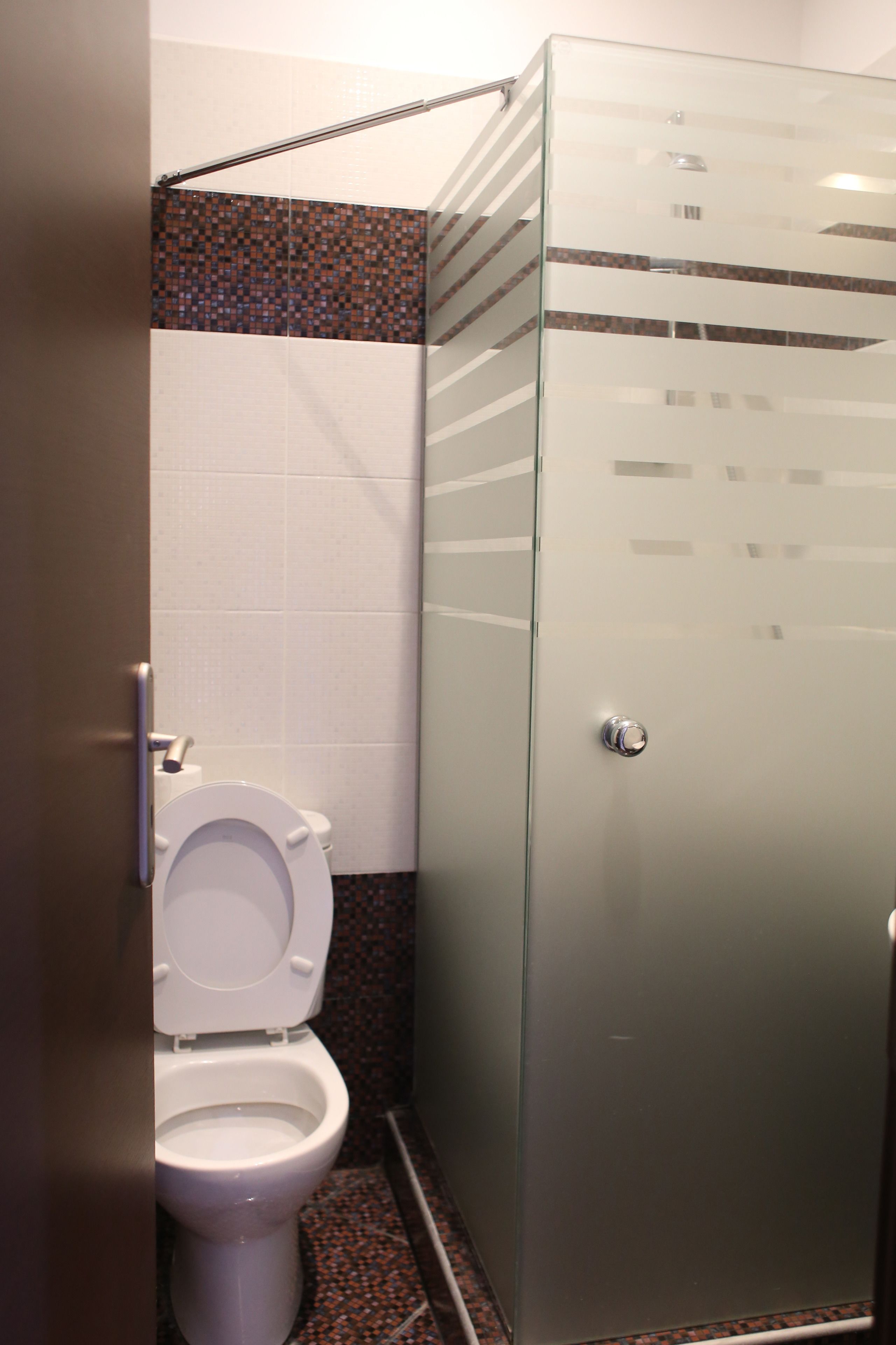 A bathroom with a glass-enclosed shower, a toilet, and a tiled wall.