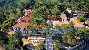 Vista aérea de un área residencial con casas rodeadas de árboles.