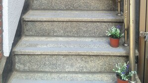 Un conjunto de escalones de piedra con barandillas de metal y plantas en macetas sobre los peldaños.