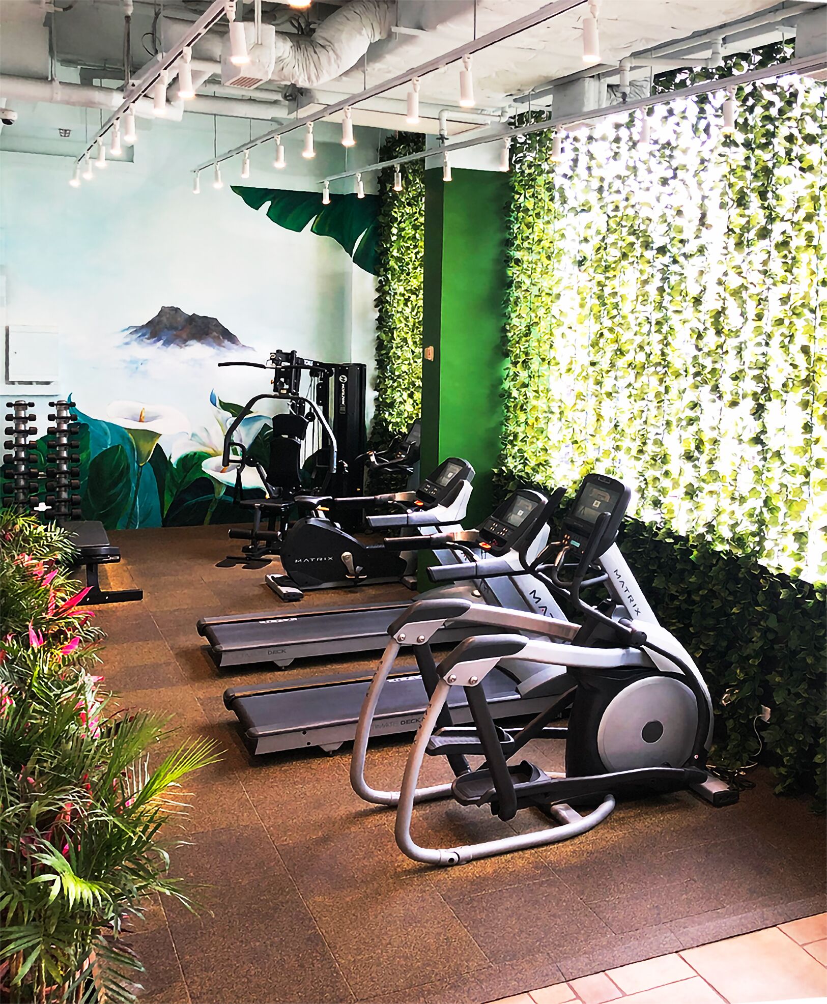 fitness facility