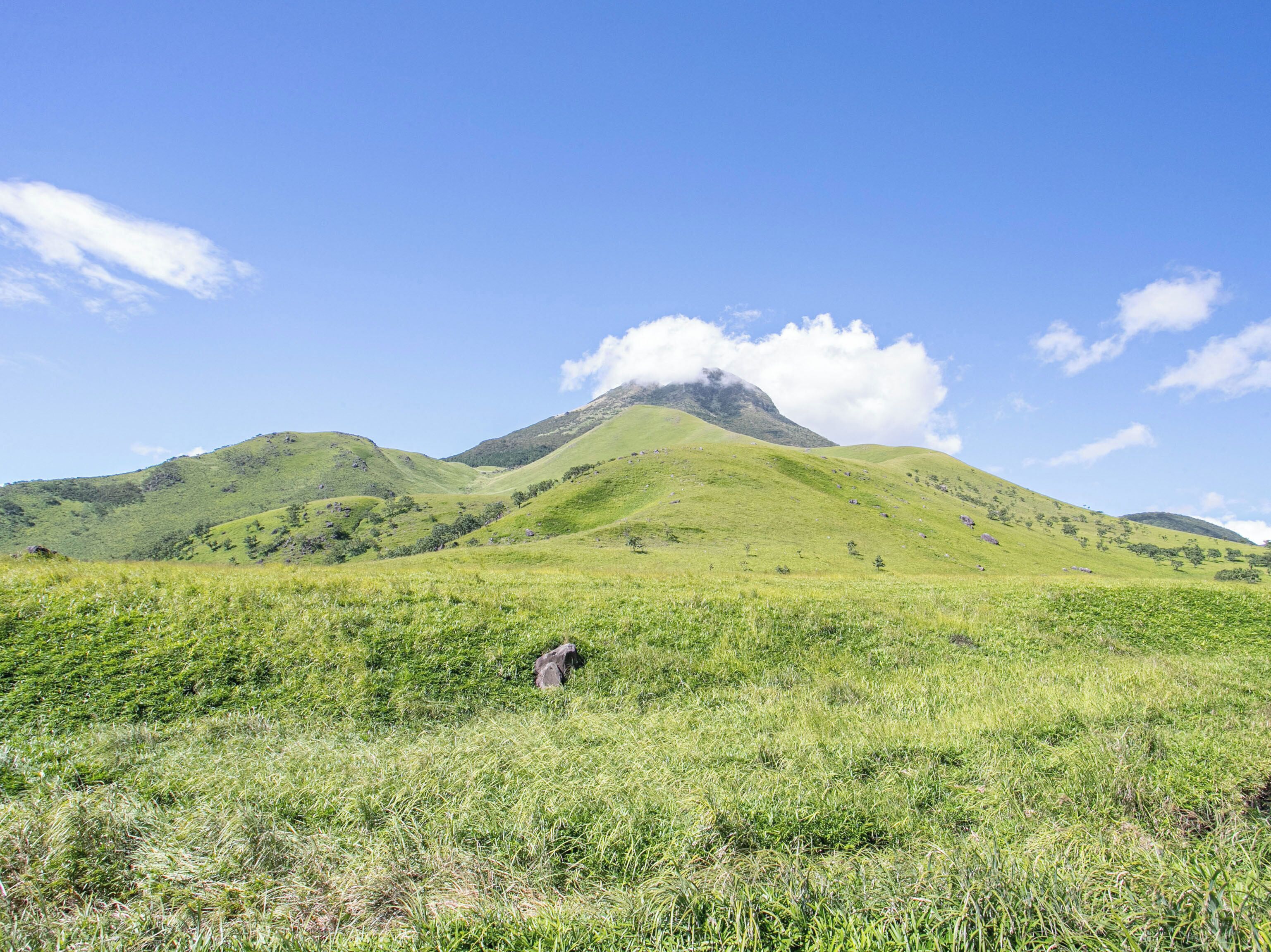 Un campo cubierto de hierba con una montaña al fondo.