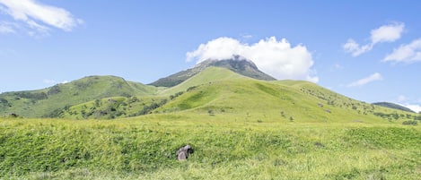 Un campo cubierto de hierba con una montaña al fondo.