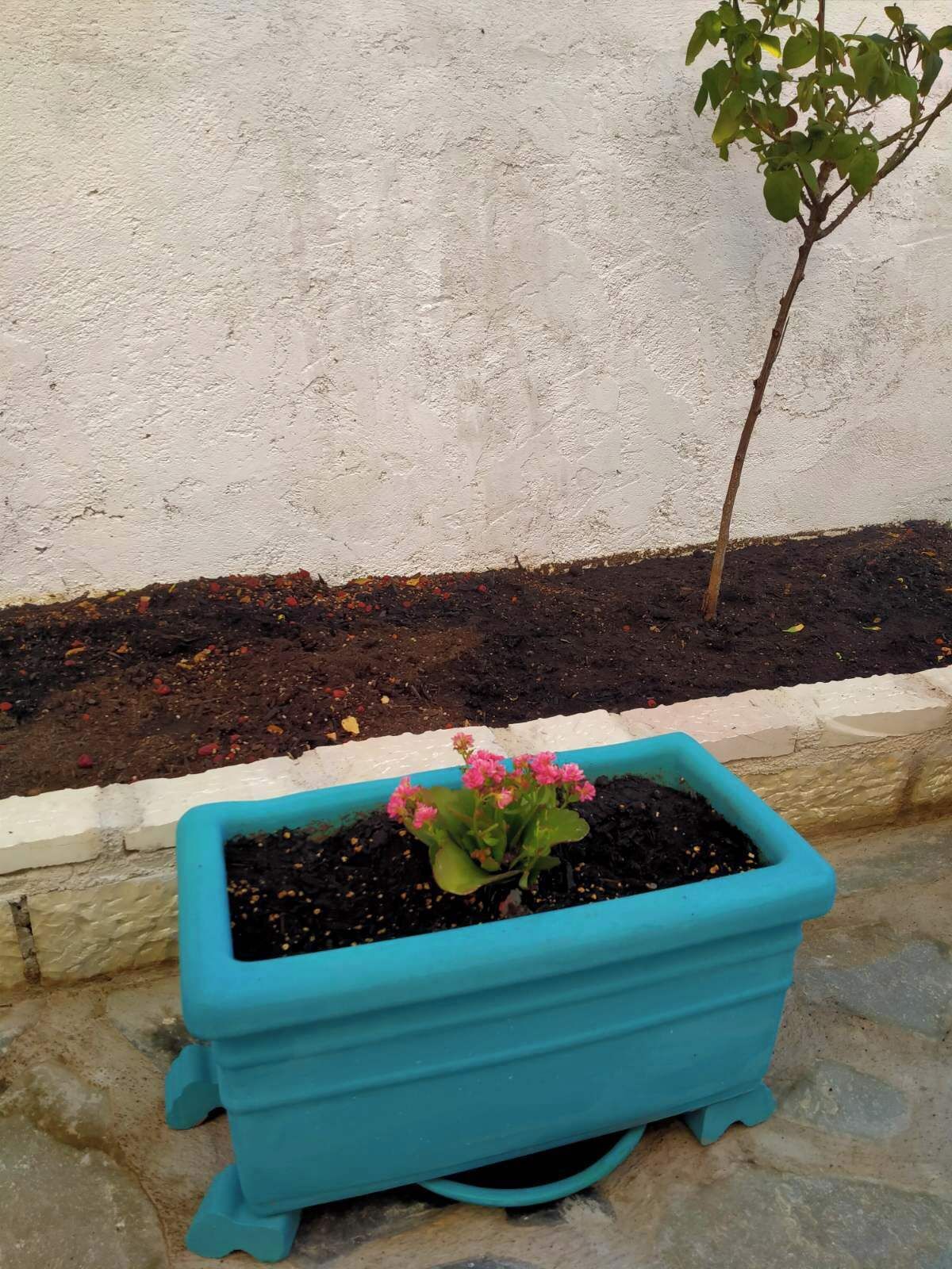 A blue planter box with pink flowers on a stone surface next to a wall.