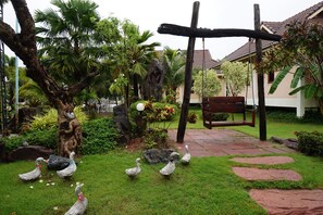 Terrain de l’hébergement 