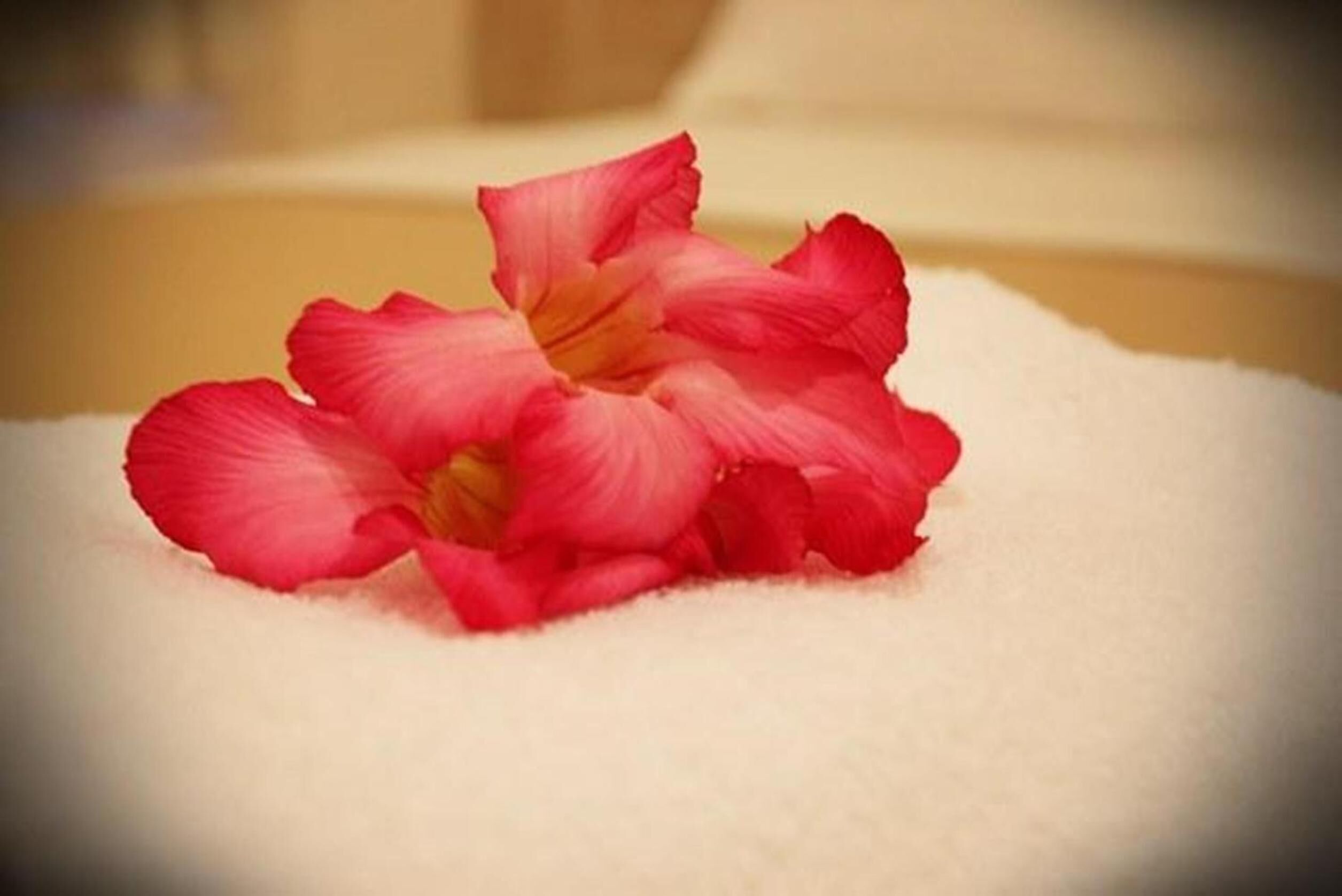 Photo - Hotel Seri Nilai