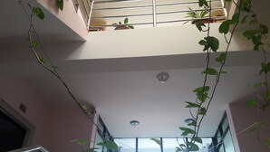 A multi-level interior with a staircase, large windows, and hanging plants. - The Boudha Inn (Kathmandu)