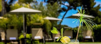 Leonardo Resort