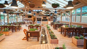 Un amplio comedor interior con mesas y sillas de madera, plantas colgantes y un camino central.