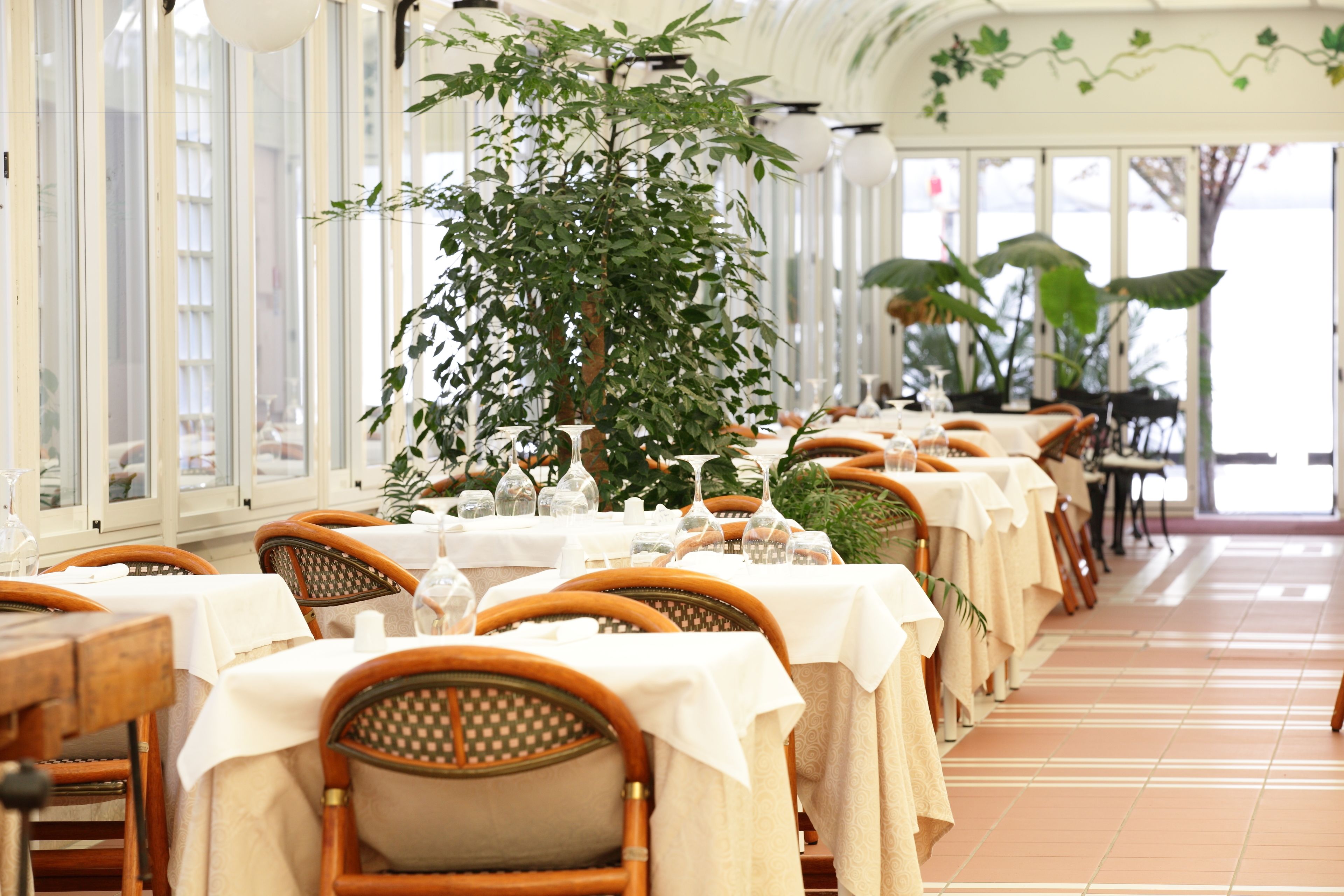 A restaurant with long tables, wicker chairs, and large potted plants.
