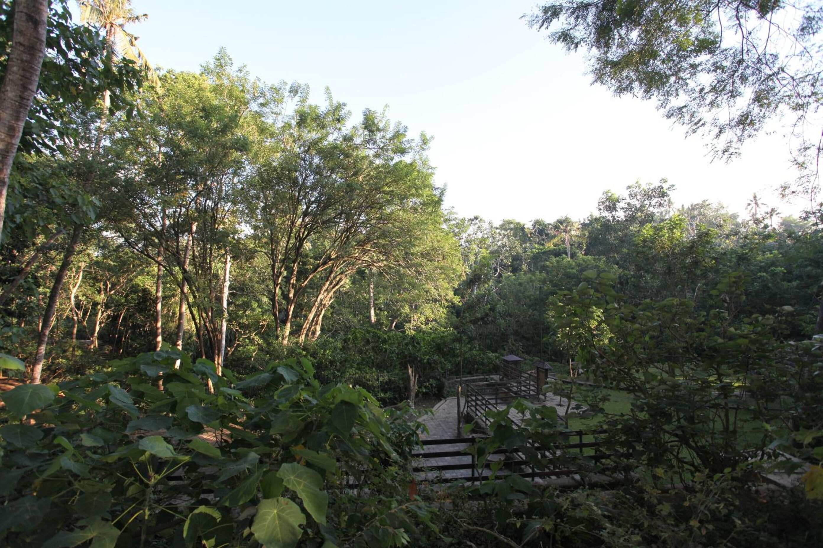 Foto - Ubud Wana Villa